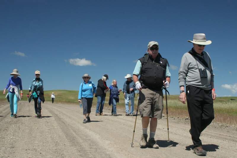Christian Kallen/Index-TribuneSonoma Raceway will again host hikes and picnic lunch fundraiser for the Sonoma Overlook Trail Stewards on May 12. Hikes will be guided by docents and Steve Page, Sonoma Raceway's president and general manager.