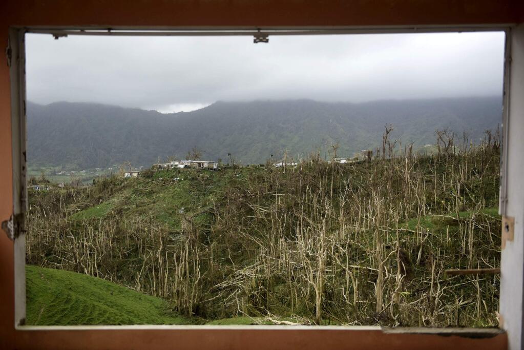 FILE - In this Sept. 21, 2017 file photo, a picture window missing it's pane, frames the view of trees denuded in the passing of Hurricane Maria, in Yabucoa, Puerto Rico. As the six-month anniversary of the Category 4 storm approaches, only a fraction of the $23 billion in congressionally appropriated funds has actually been spent in Puerto Rico. (AP Photo/Carlos Giusti, File)