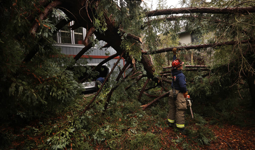 Monte Rio Fire Protection District Fire Capt. Chris Coombs prepares to remove limbs from a large redwood tree that fell into the front yard and home on Alder Road In Monte Rio, Saturday, Dec. 10, 2022. No one at the home was injured. (Kent Porter / The Press Democrat) 2022