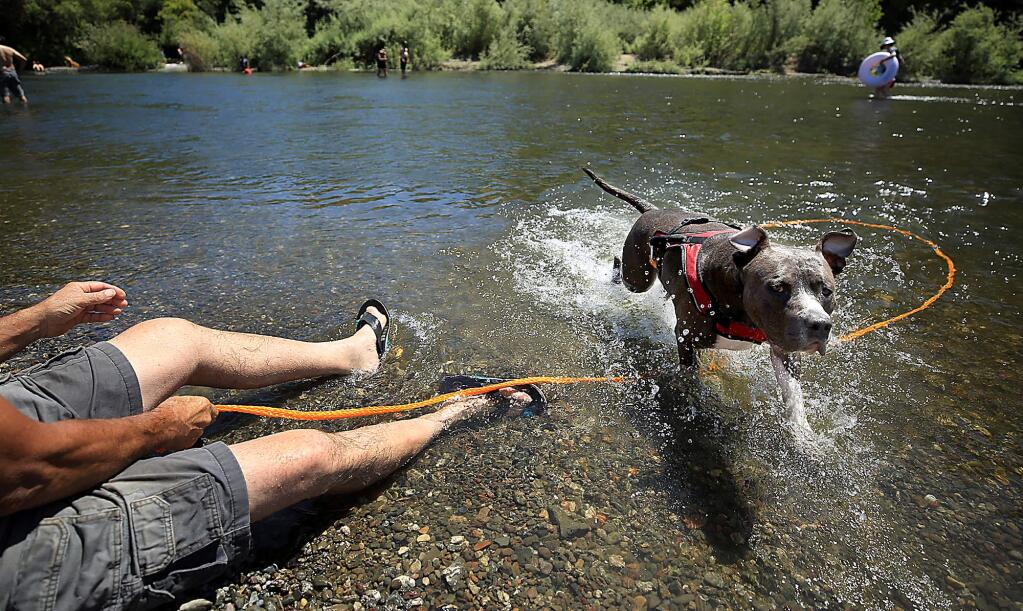 John Thompson and his dog, Max, at the Russian River in Monte Rio on Monday, July 3, 2017. (KENT PORTER/ PD)