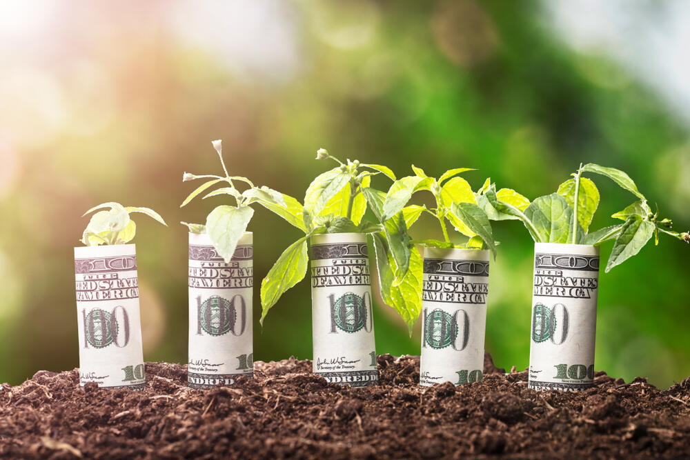 Saplings covered with rolled up American banknotes on soil. Environmental, sustainability and governance (ESG) investing. (Andrey Popov / Shutterstock)