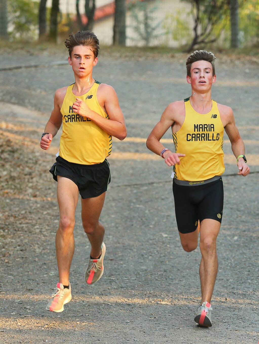 Rory Smail, left, Colton Swinth, right, and the Maria Carrillo boys cross country team is already garnering attention and the season is barely out of the starting gate, with MileSplit ranking the Pumas high on their list of teams to watch. (Christopher Chung/ The Press Democrat)