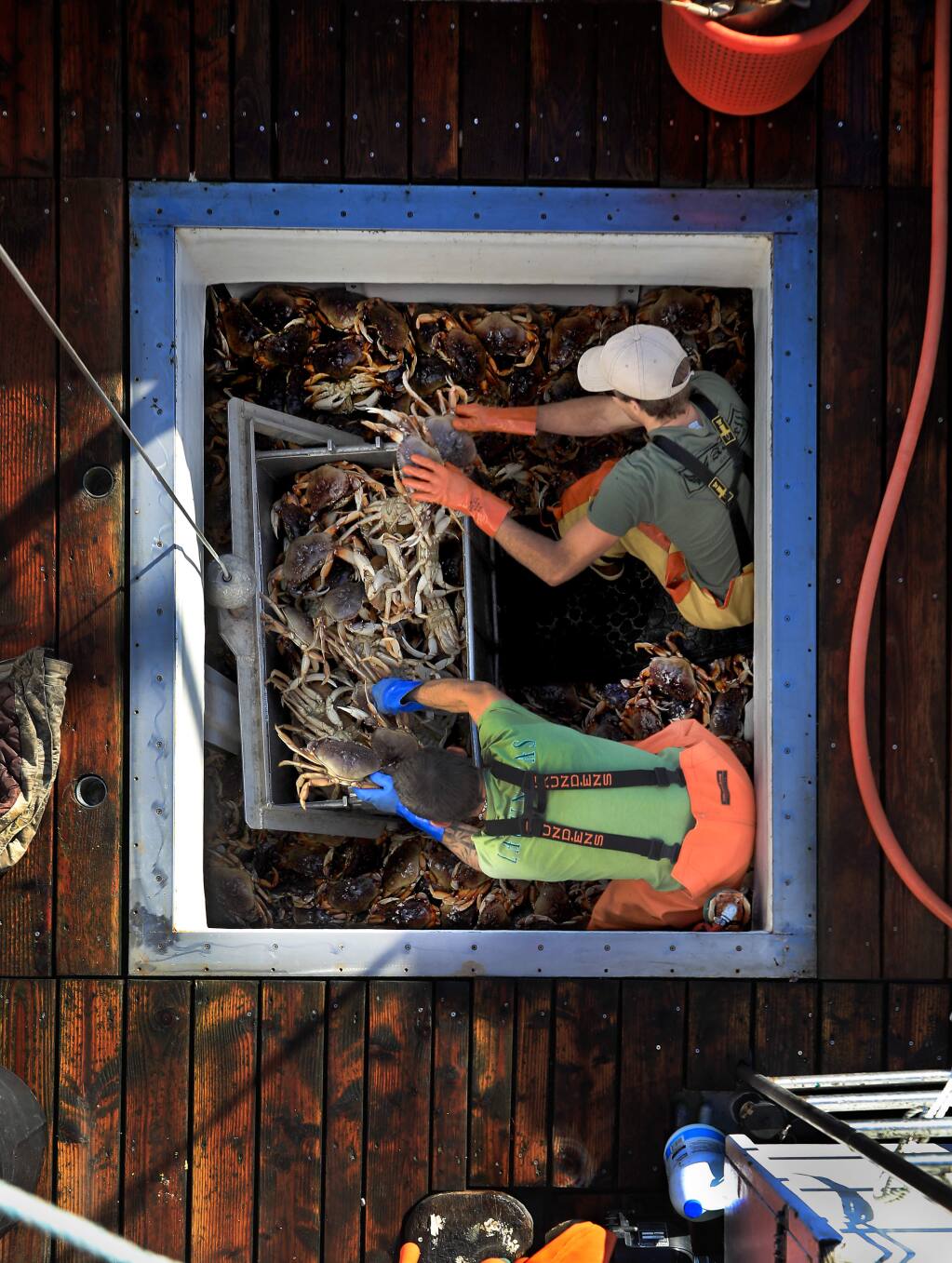 Tim Bentley, top, and Martin Blaney offload Dungeness crab from the hold of the Seastar at Spud Point Marina, Monday, Dec. 30, 2019 in Bodega Bay. (Kent Porter / The Press Democrat) 2019
