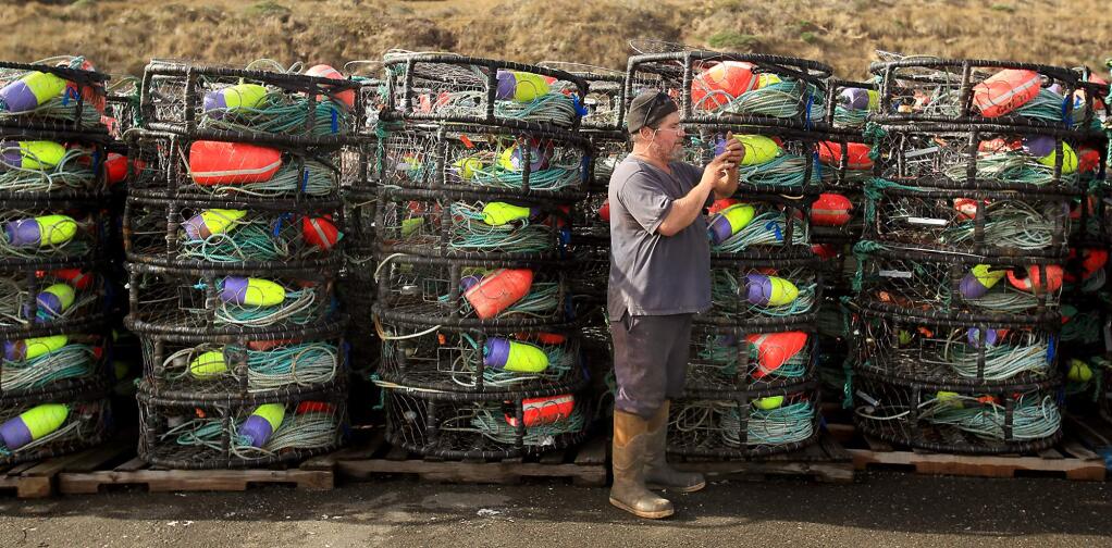 Andy Macri a deckhand with the Sandy B, attempts to get a phone signal beside unused crab pots at Spud Point Marina in Bodega bay, Wednesday, Jan. 13, 2016. (Kent Porter / Press Democrat) 2016