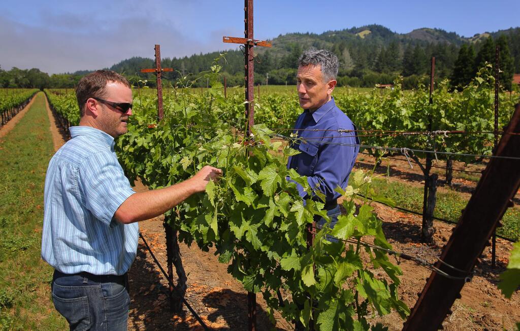 Christopher Chung/Press DemocratSt. Francis Winery president and CEO Christopher Silva, right, is given an update on the status of the vines by vineyard manager Jake Terrell, in May 2016. (Christopher Chung/ The Press Democrat)