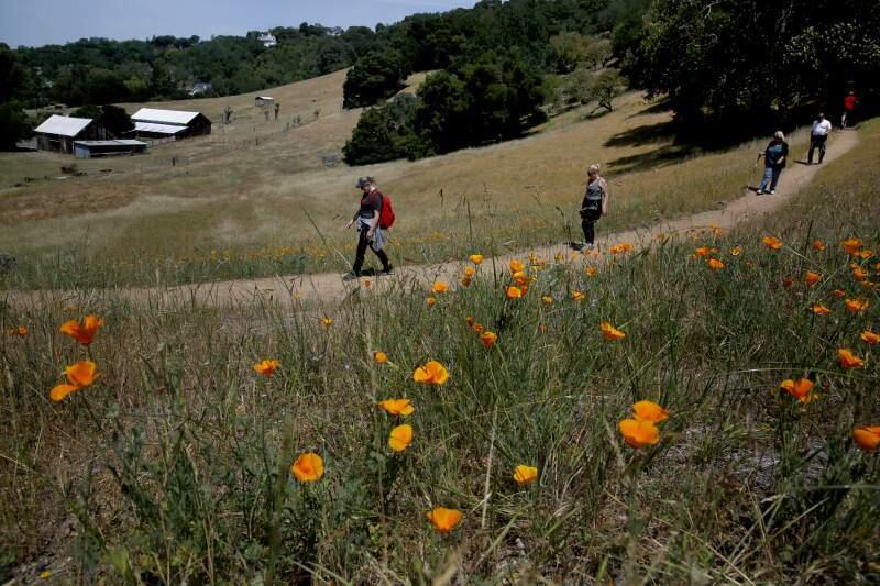 Getting outdoors, like at the Montini Preserve above, is a great way to connect with nature and keep a safe distance from others. (BETH SCHLANKER/ The Press Democrat)