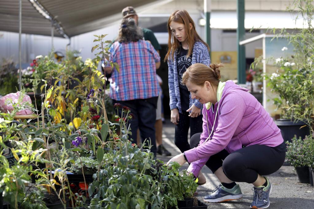 April Bryant of Windsor and her daughter Taylor, 10, shop for plants during the Flower Show Plant Sale at the Sonoma County Fairgrounds in Santa Rosa on Monday, August 13, 2018. This year there were new times for the plant sale, which started Sunday night at 8pm-10pm and continued early Monday morning. (Beth Schlanker/ The Press Democrat)
