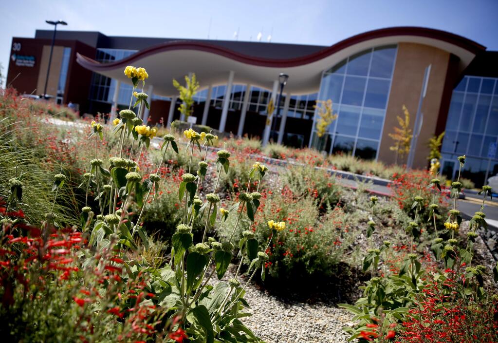 Drought resistant plants, bioswales built to channel runoff, and a highly efficient irrigation system are part of the recently installed landscaping at Sutter Santa Rosa Regional Hospital in in Santa Rosa, on Wednesday, June 3, 2015. (BETH SCHLANKER/ The Press Democrat)