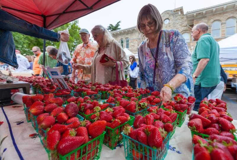 The organic strawberries at Sonoma's Tuesday Farmers Market have been particularly flavorful this year. The Measure M ban on GMOs seeks to protect local organic farmers from the possibility of cross pollenation.