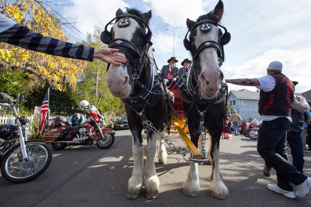 Neil Shepard of Glen Ellen, and Ellen Wight of Sebastopol, sit on top of their wagon with Shepard's clydesdales, Willie and Sonny, before the 2017 annual Veteran's Day Parade in Petaluma, on Saturday, November 11, 2017. (Photo by Darryl Bush / For The Press Democrat)