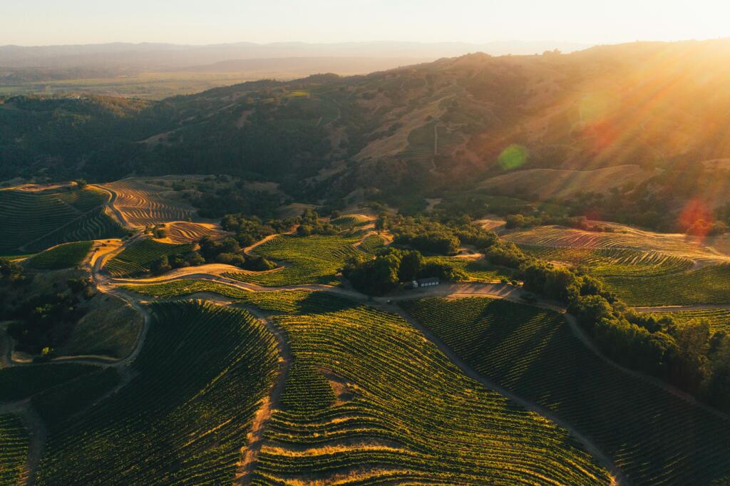 This aerial view on Sept. 16, 2019, shows Stonestreet Estate’s Cougar Ridge Vineyard in the eastern highlands of Sonoma County’s Alexander Valley appellation and part of Pocket Peak, an AVA proposed in February 2022. (courtesy of Jackson Family Wines)