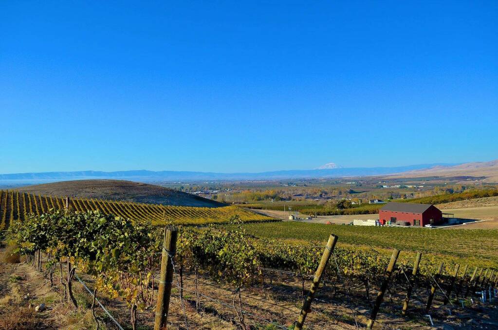 Owen Roe's vineyards and winery overlook the Yakima Valley in eastern Washington state. Santa Rosa-based Vintage Wine Estates acquires Owen Roe in September 2019. (OwenRoe.wixsite.com)