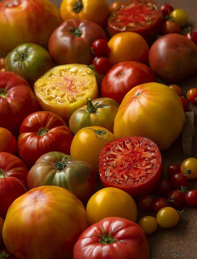 Tomatoes (John Burgess/The Press Democrat)