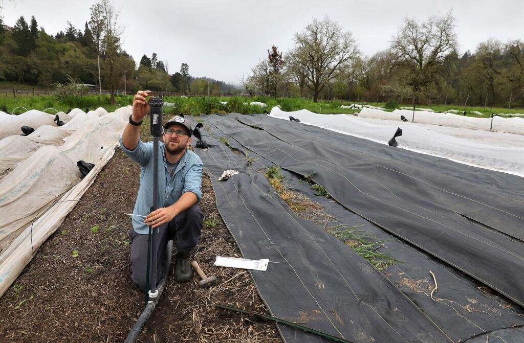 Andy Henderson works on the irrigation system at Confluence Farm near Sebastopol on Monday, April 8, 2019. Henderson is working on saving and reviving the Occidental Bohemian Farmers Market, where he and his wife, Julia, have sold their diverse organic vegetables and flowers.(Christopher Chung/ The Press Democrat)