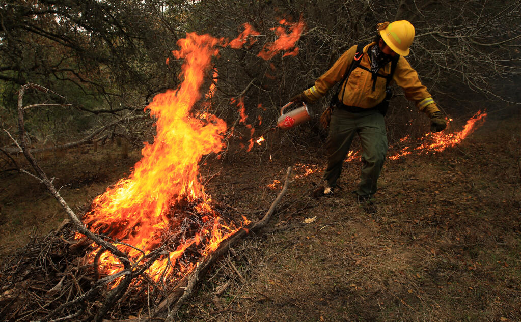Ben Foley of Northern Sonoma County Fuels uses a drip torch to ignite the forest floor during a prescribed burn on the ranch of Che Casul, Dec. 12, 2020, near Bodega. (Kent Porter / The Press Democrat) 2021