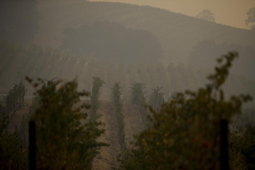 Smoke generated by wildfires fills the air in a vineyard Thursday, Oct. 12, 2017, near Napa, Calif. Gusting winds and dry air forecast for Thursday could drive the next wave of devastating wildfires that are already well on their way to becoming the deadliest and most destructive in California history. (AP Photo/Jae C. Hong)
