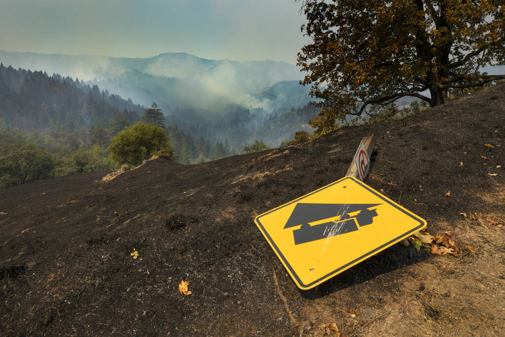 The view west from Armstrong Woods Road above Armstrong Redwoods State Natural Reserve near Bullfrog Pond Campground after the Walbridge fire burned through the area on Friday, Aug. 21, 2020.  (John Burgess/The Press Democrat)