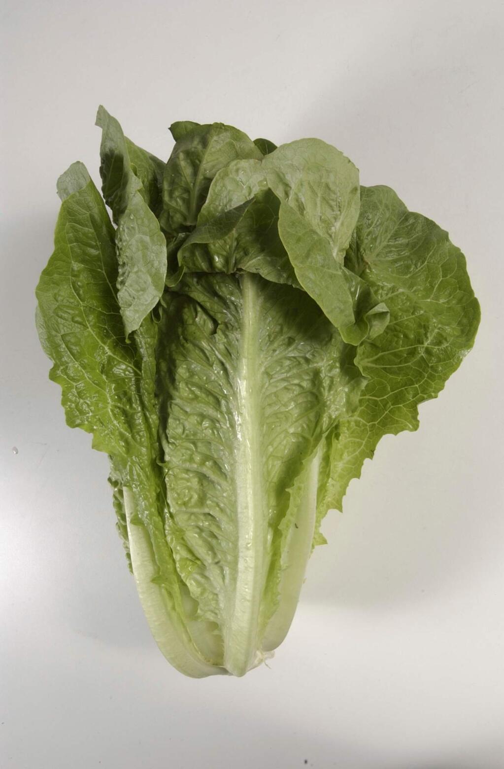 FILE - This undated photo shows romaine lettuce in Houston. On Wednesday, May 2, 2018, U.S. health officials said California reported the first death in a national food poisoning outbreak linked to romaine lettuce. (Steve Campbell/Houston Chronicle via AP)