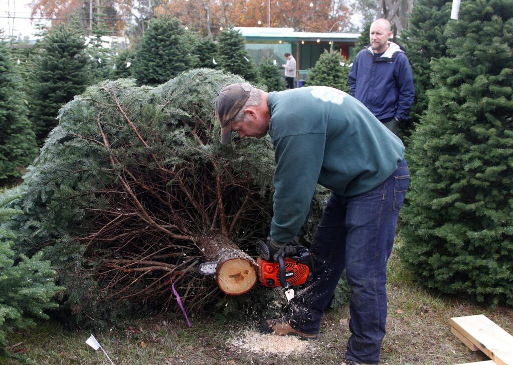 Bill Hoban/Index-Tribune file photoEric Nyberg trims a tree for a customer.