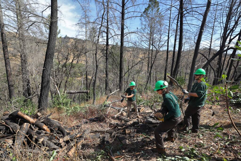 Conservation Corps North Bay workers Ethan Werby, left, Diego Salanueva, and Bo Dougan make a burn pile out of a dead tree that was cut down, in the Mark West area near Santa Rosa on Tuesday, October 8, 2019. (Christopher Chung/ The Press Democrat)