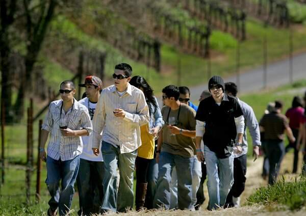 Tourists at Bella Vineyards and Wine Caves in Dry Creek Valley take a vineyard path to the caves during the Russian River Wine Road in 2009. (KENT PORTER/ PD FILE)
