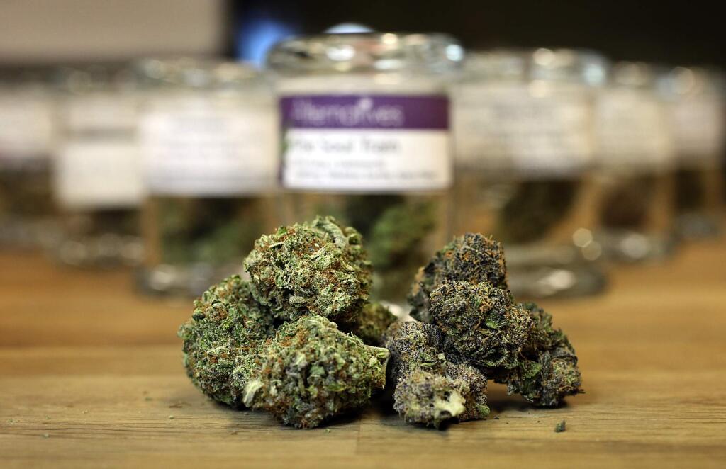 Medical marijuana from a Santa Rosa facility. (JOHN BURGESS / PD FILE)