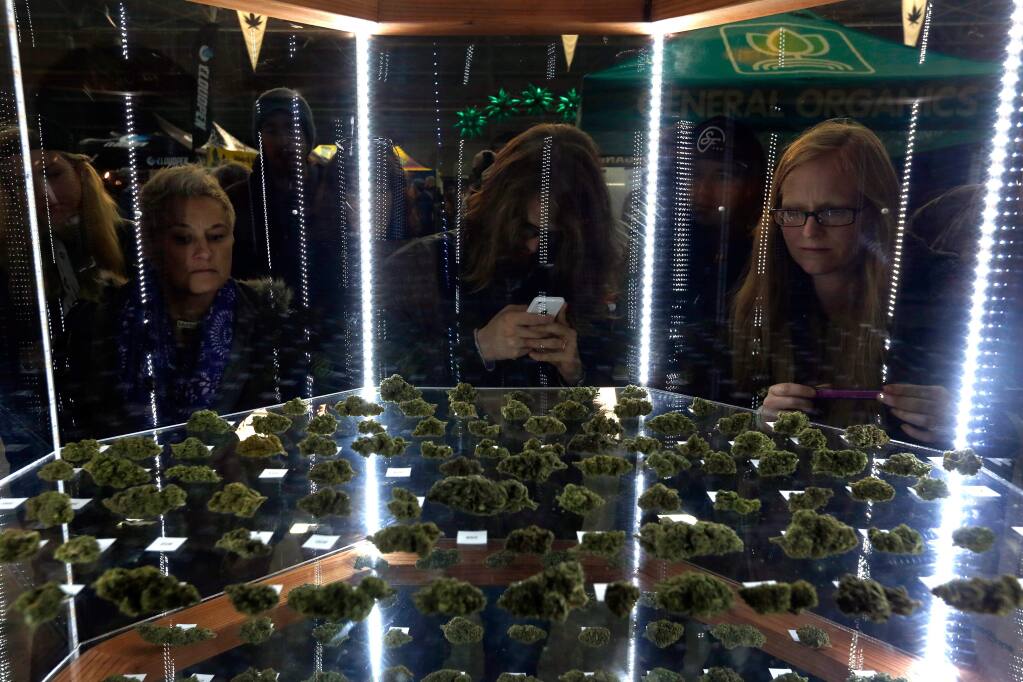 People look into a display case showing the marijuana varieties entered for the 2015 Emerald Cup outdoor cannabis competition at the Sonoma County Fairgrounds in Santa Rosa, California on Sunday, December 13, 2015. (Alvin Jornada / The Press Democrat)