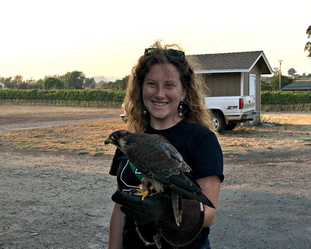 SVHS senior Sarah Kiser learned the locally relevant art of falconry this year.