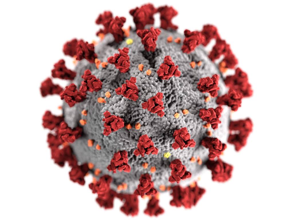 This illustration, created at the Centers for Disease Control and Prevention (CDC), reveals ultrastructural morphology exhibited by coronaviruses. (CDC)