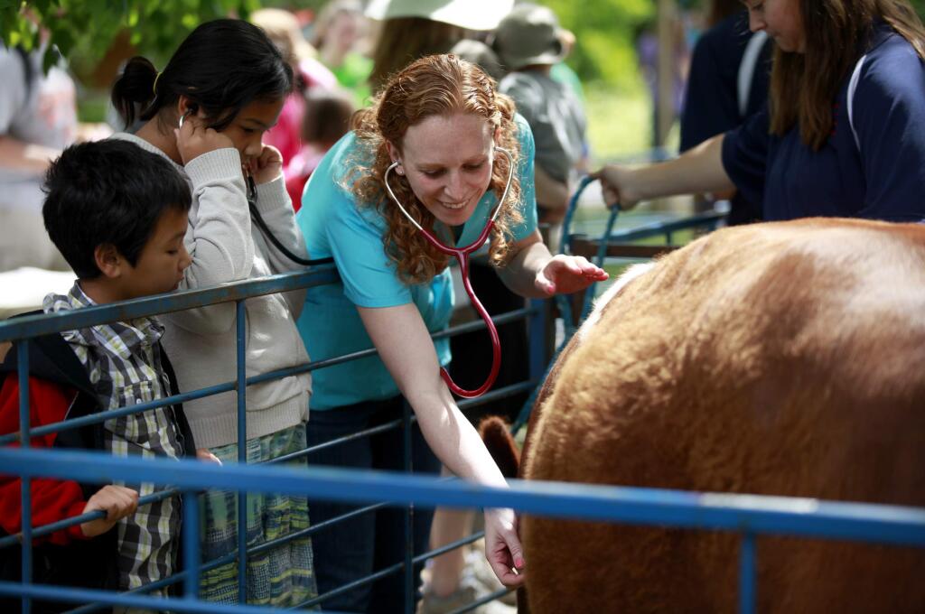 5/5/2014:B1: Veterinary tech student Sara Lewis helps Bailey Osborn, 10, and her brother Keoni, 7, listen to a cow's heartbeat.PC: Vet tech student Sara Lewis helps Bailey Osborn, 10, and her brother Keoni, 7, listen to a cow's heartbeat during the Day Under the Oaks event at the Santa Rosa Junior College in Santa Rosa, on Sunday, May 4, 2014. (BETH SCHLANKER/ The Press Democrat)