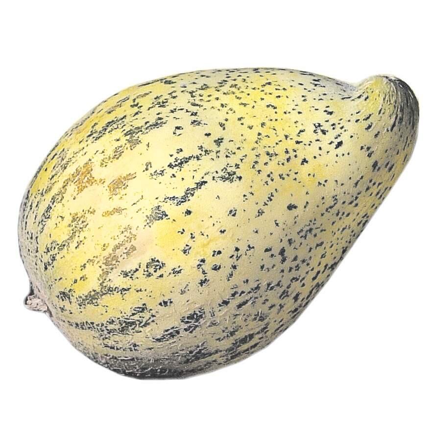 The Crane Melon is a variety that was developed in the early 1900s in Santa Rosa. (File)
