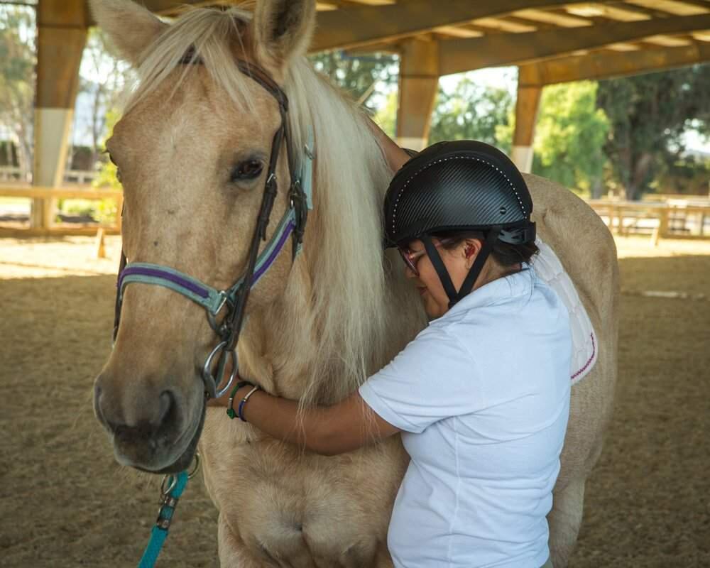 Through bonding with horses, clients find new ways to learn, grow and build confidence