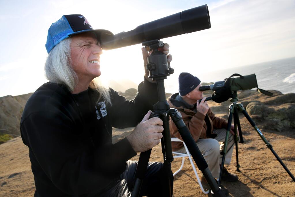 Dan Nelson, left, and Mike Parameter look for birds at Bodega Head as part of the 52nd annual Western Sonoma County Christmas Bird Count on Sunday, December 30, 2018 in Bodega Bay, California . (BETH SCHLANKER/The Press Democrat)
