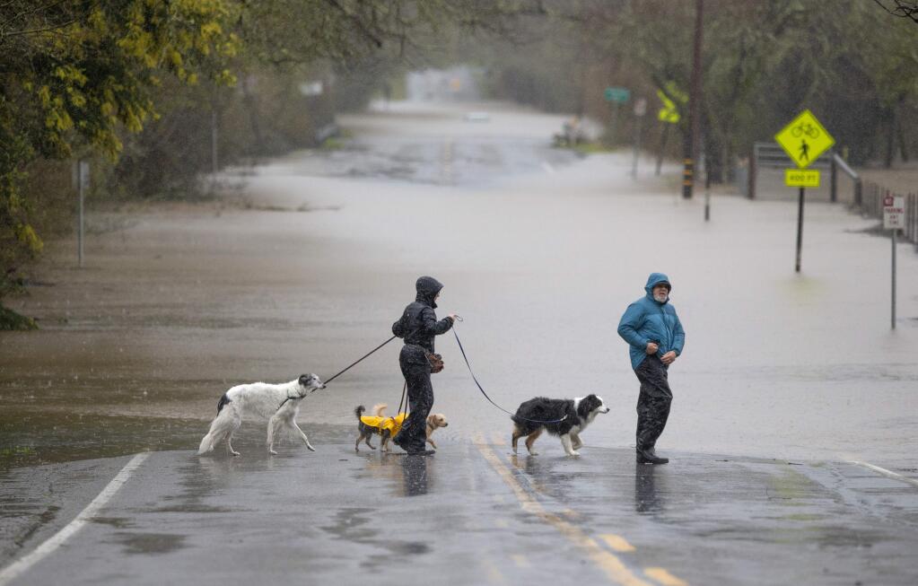 Pat and Bob Engel took their dogs for a walk to see the flooding on Green Valley Rd. in Graton on Tuesday afternoon. (photo by John Burgess/The Press Democrat)