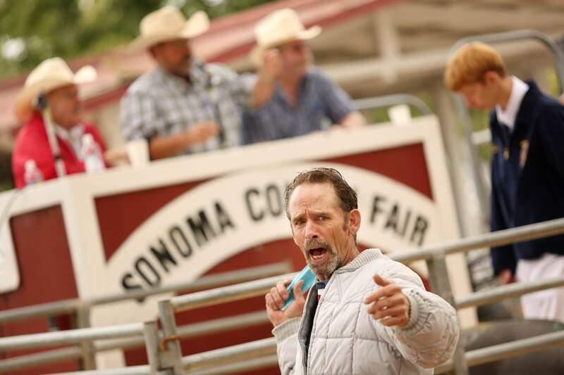 Auctioneer Dave Lewers yells out bids at Saturday's Junior Livestock Auction at the Sonoma County Fair, July 27, 2013. (Conner Jay/The Press Democrat)