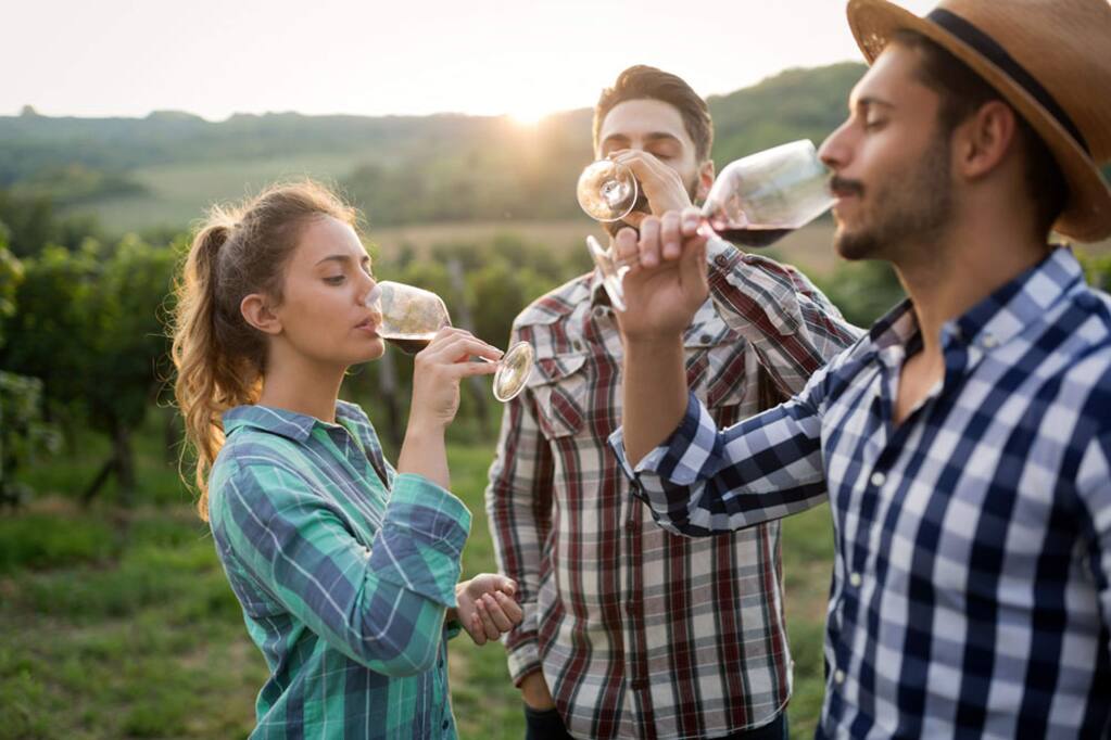 The annual Experience Alexander Valley weekend will provide a deep dive into the region's terroir on June 22 and 23 with events such as blending seminars with winemakers and bocce in the vineyards. (alexandervalley.org)