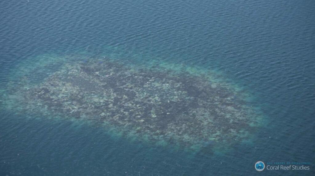 A photograph of Forbes Island, Great Barrier Reef. (Courtesy of ARC Centre for Excellence in Coral Reef Studies)