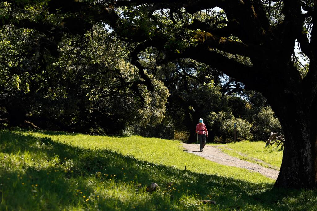 Taylor Mountain Regional Park and Open Space Preserve in Santa Rosa. Taylor Mountain has spectacular views of Santa Rosa. This park also has a picnic area for those who would rather eat at tables. (Alvin Jornada / The Press Democrat)