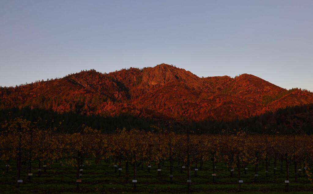 The setting sun paints shines on the burned regions of Hood Mountain Regional Park, above a vineyard at St. Francis Winery & Vineyards. (Christopher Chung/ The Press Democrat)
