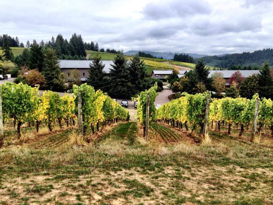 Santa Rosa-based Jackson Family Wine has purchased Willakenzie Estate, a Willamette Valley producer of single-vineyard pinot noir and pinot gris. (facebook.com/WillaKenzie)