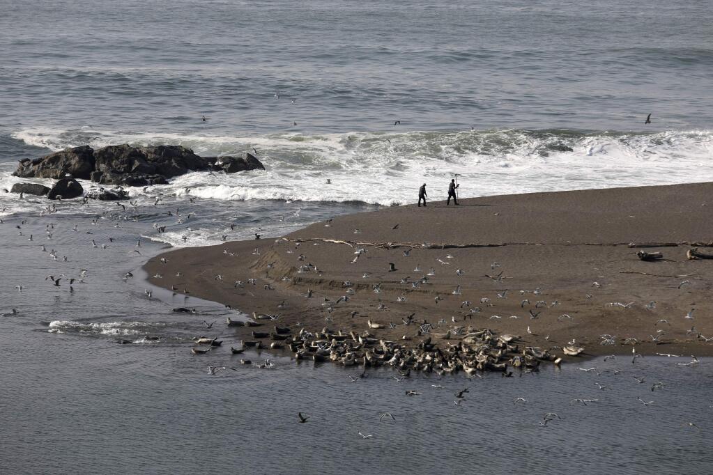 People walk on the beach near the mouth of the Russian River on Thursday, November 15, 2018 in Jenner, California . (BETH SCHLANKER/The Press Democrat)
