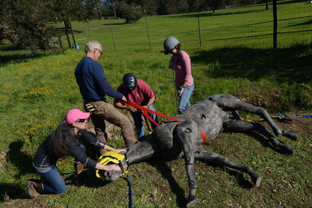 From left, Julie Atwood, Certified Wildlife Protector Conny Gustafsson, Mike Nevis with Yolo County Sheriff's Office and veterinarian Dr. Amber Johnson of Artaurus Veterinary Clinic during a horse rescue training session held at Atwood Ranch in Glen Ellen Sunday afternoon. February 21, 2016. (Photo: Erik Castro/for The Press Democrat)