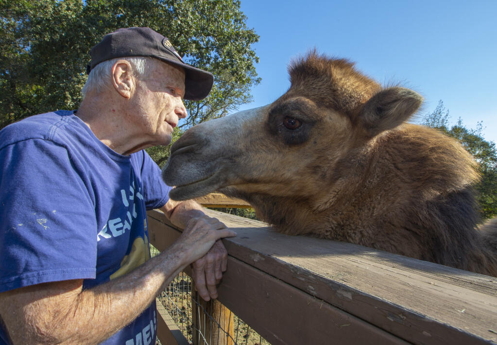 Rob Lyon has a special bond with Freddy, a Bactrian camel.  (Photo by Robbi Pengelly/Index-Tribune)