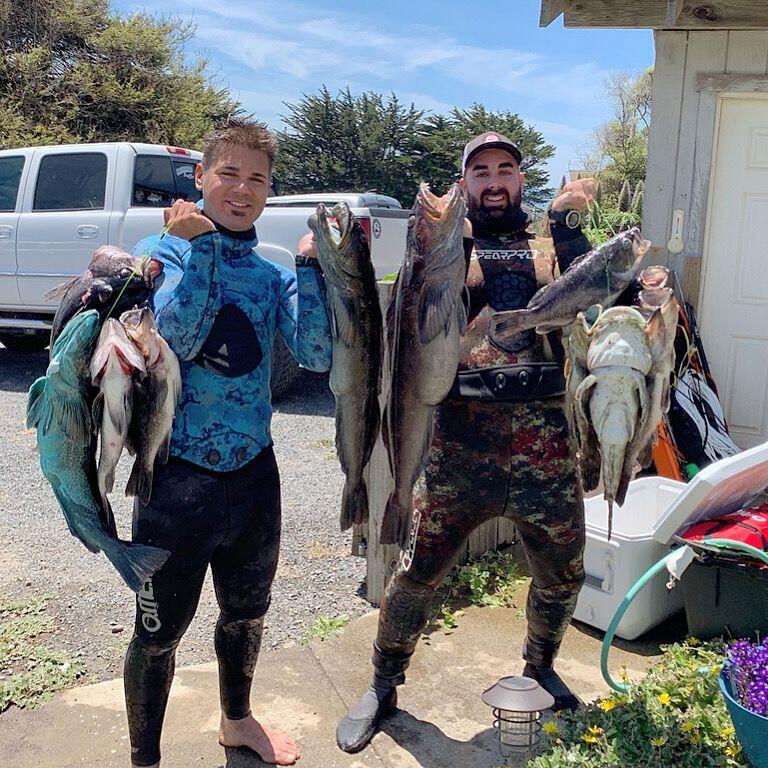 Mike McGuire and Parviz Boostani of Red Triangle Spearfishing with their haul after spearfishing off the Mendocino coast.  (Photo courtesy of Parviz Boostani of Red Triangle Spearfishing.)