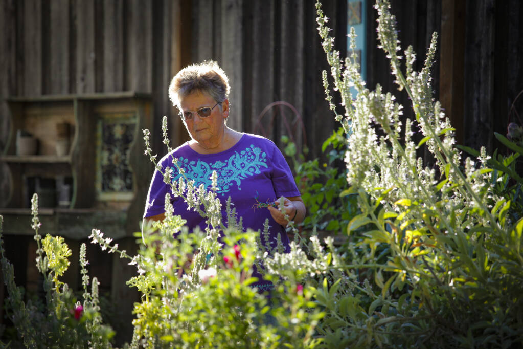 Karen Guma, a master gardener, grows many native plants in her Petaluma garden to avoid water waste which is particularly relevant during the Sonoma County drought emergency conditions. (CRISSY PASCUAL/ARGUS-COURIER STAFF)