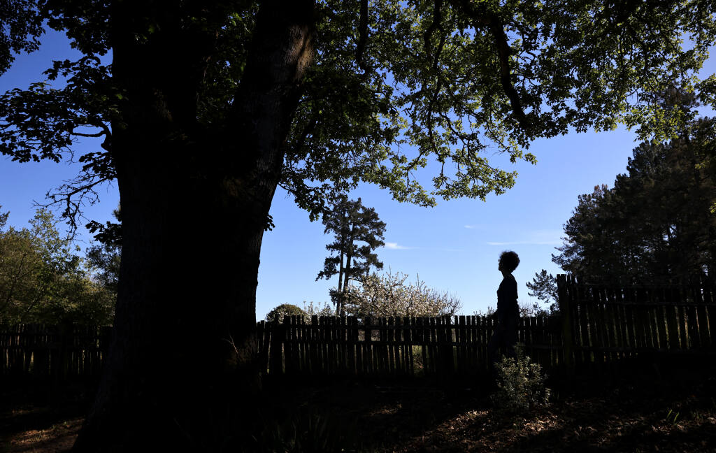 Marcia Lavine, 75, in the backyard of her home, which runs up against a proposed housing project, Friday, March 26, 2022 in Sebastopol. (Kent Porter / The Press Democrat)