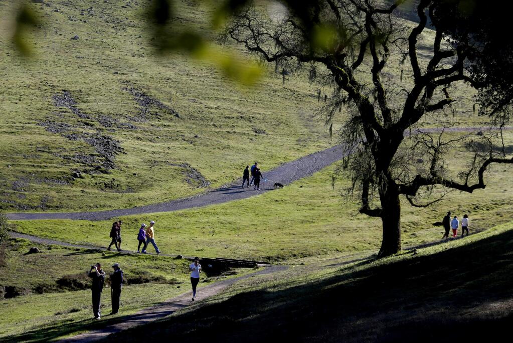 People walk along the trails at Taylor Mountain Regional Park in Santa Rosa, on Sunday, January 10, 2016. (BETH SCHLANKER/ The Press Democrat)
