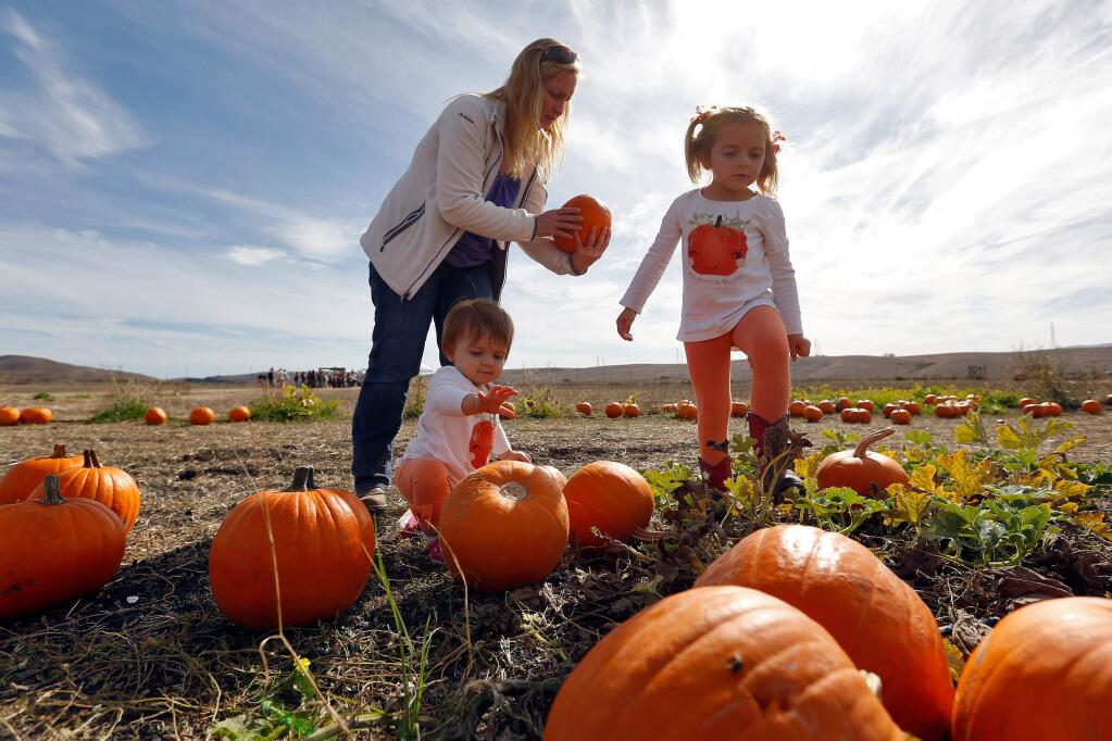 Jesse Koch, 4, and her sister Kelcie, 1, pick out pumpkins with their mother C. Koch during the Tolay Fall Festival at Tolay Lake Regional Park, in Petaluma, California on Saturday, October 22, 2016. (Alvin Jornada / The Press Democrat)