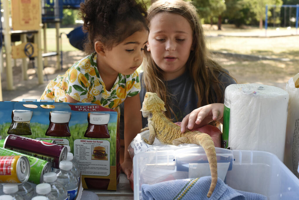 Bobby Moore, 13, right, show Dan the bearded dragon to Gabi Ceremony, 3, during the North Bay Herpetological Society Annual Club BBQ held at Franklin Park in Santa Rosa, Calif. on Saturday, July 3, 2021.(Photo: Erik Castro/for The Press Democrat)
