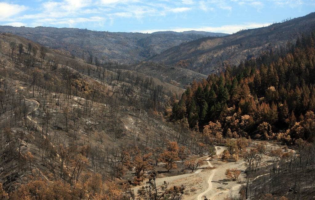 Middle Creek can be seen just outside of Upper Lake, Friday, Sept. 14, 2018. The trees were burned in the Mendocino Complex Ranch fire as it roared through the Mendocino National Forest.  (Kent Porter / The Press Democrat) 2018